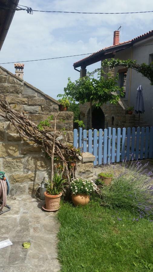 Labor Istrska Hiska Villa Marezige Bagian luar foto