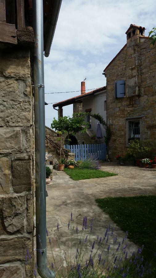 Labor Istrska Hiska Villa Marezige Bagian luar foto
